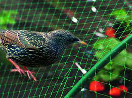 Anti Bird Safety Nets In Vizag