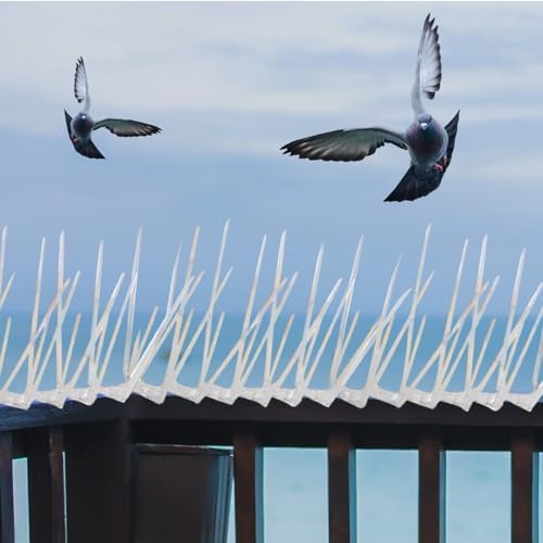 Bird Spikes In Vizag