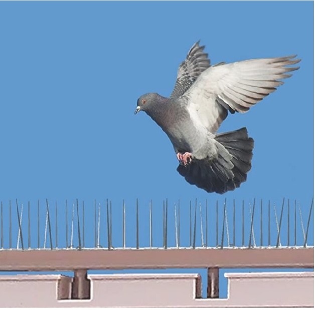 Bird Spikes In Vizag