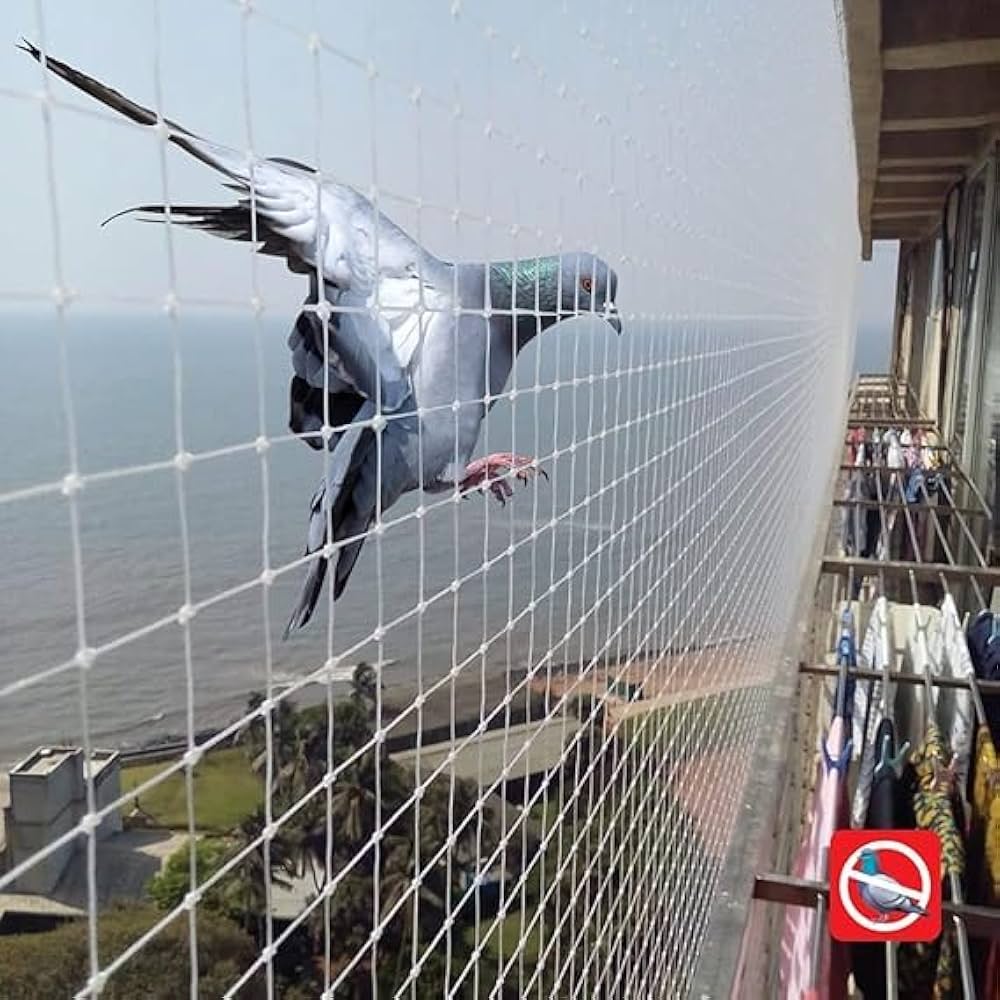 Pigeon Safety Nets In Vizag