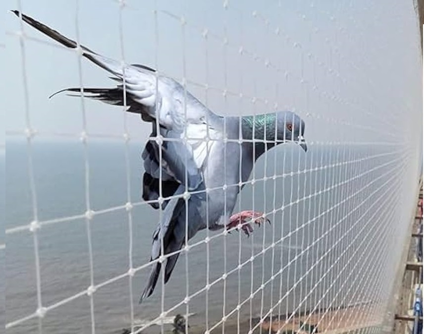 Duck Area Safety Nets In Vizag